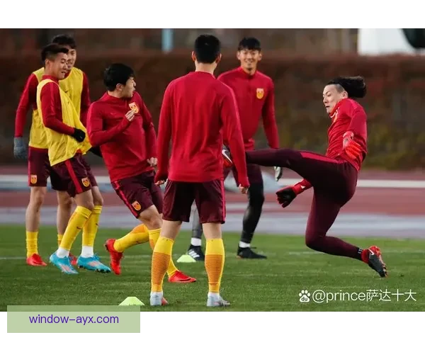 国足备战世界杯新阵容曝光球迷期待精彩表现