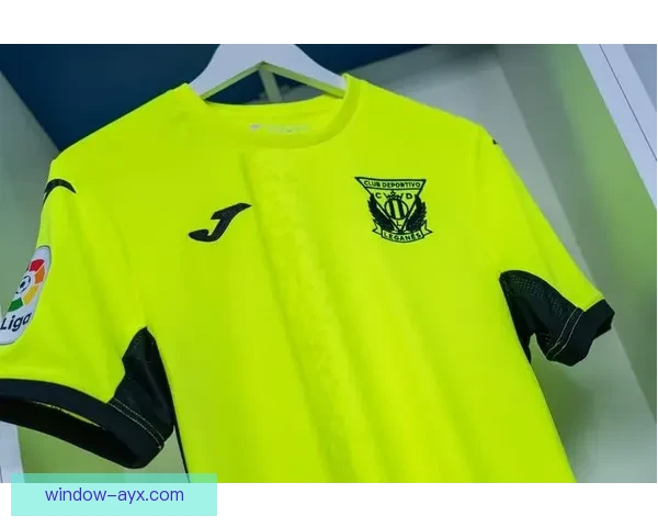 莱加内斯俱乐部最新赛季战绩分析与球队未来发展展望