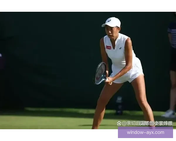 2026年网球赛季精彩回顾：新星崛起与老将荣耀交织