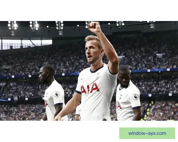 托特纳姆热刺：从传奇到复兴的足球之路与未来展望