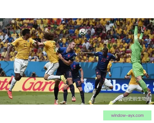 欧洲杯激战正酣多国球队争夺冠军热门球星表现引关注