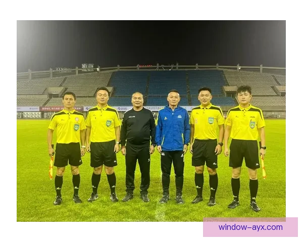 湘超联赛中的代表性球队及其在国内足球的影响力分析